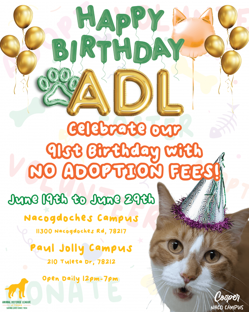Happy 91st ADL!