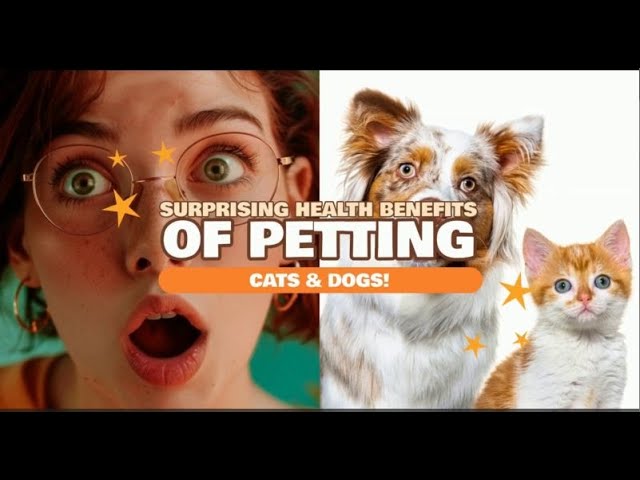 Surprising Health Benefits of Petting Cats and Dogs