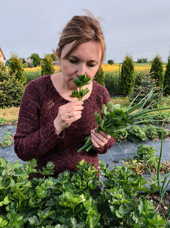 Fresh Herbs are a healthy food ingredient to include in your tossed salads in 2026