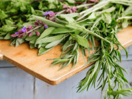 How to Keep Fresh Herbs Fresh Longer 7 Storage Methods That Actually Work in 2026