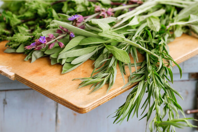 How to Keep Fresh Herbs Fresh Longer 7 Storage Methods That Actually Work in 2026