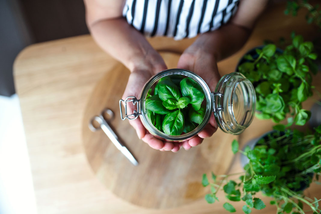 Proper Storage of Your Fresh Herbs in 2026 will Allow You to Enjoy their healthy benefits much longer