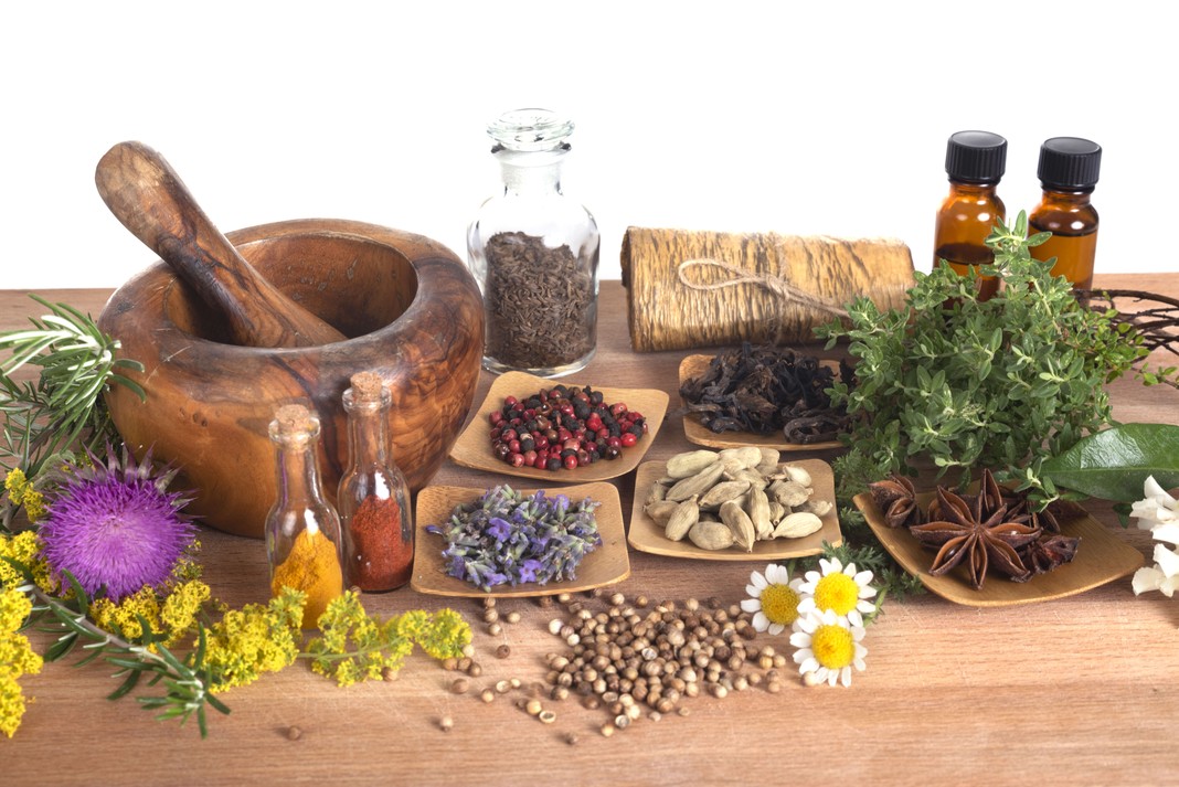 The Plant Based Metabolic Reset: Fueling Your Body for 2026